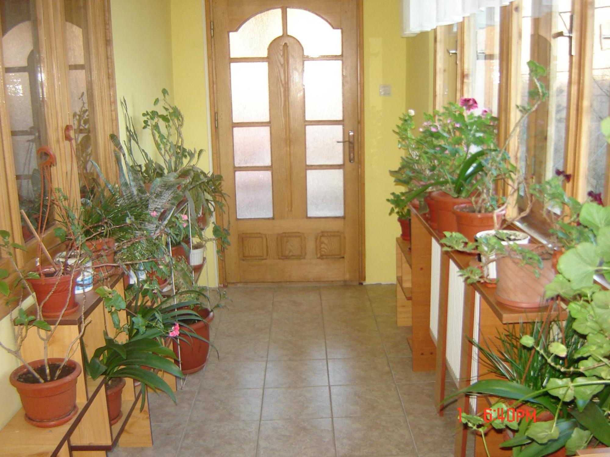 Pensiunea Nicky Oestii Ungureni Exterior photo