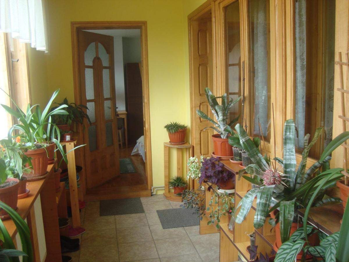 Pensiunea Nicky Oestii Ungureni Exterior photo
