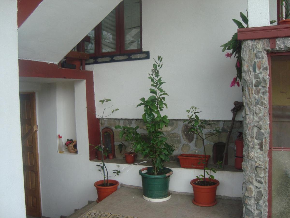 Pensiunea Nicky Oestii Ungureni Exterior photo