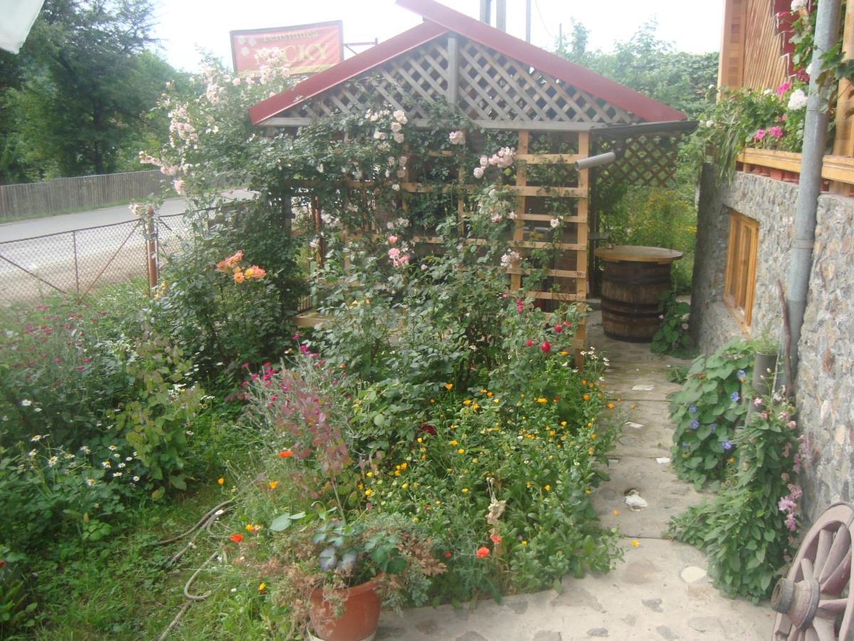 Pensiunea Nicky Oestii Ungureni Exterior photo